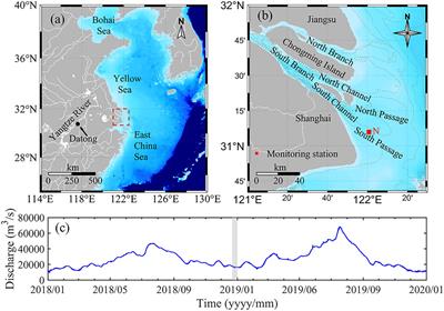 Fluid mud induced by periodic tidal advection and fine-grained sediment settling in the Yangtze estuary